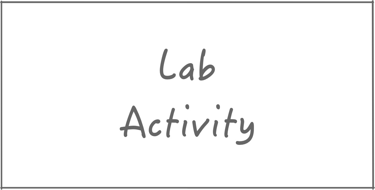Lab Activity Introduction